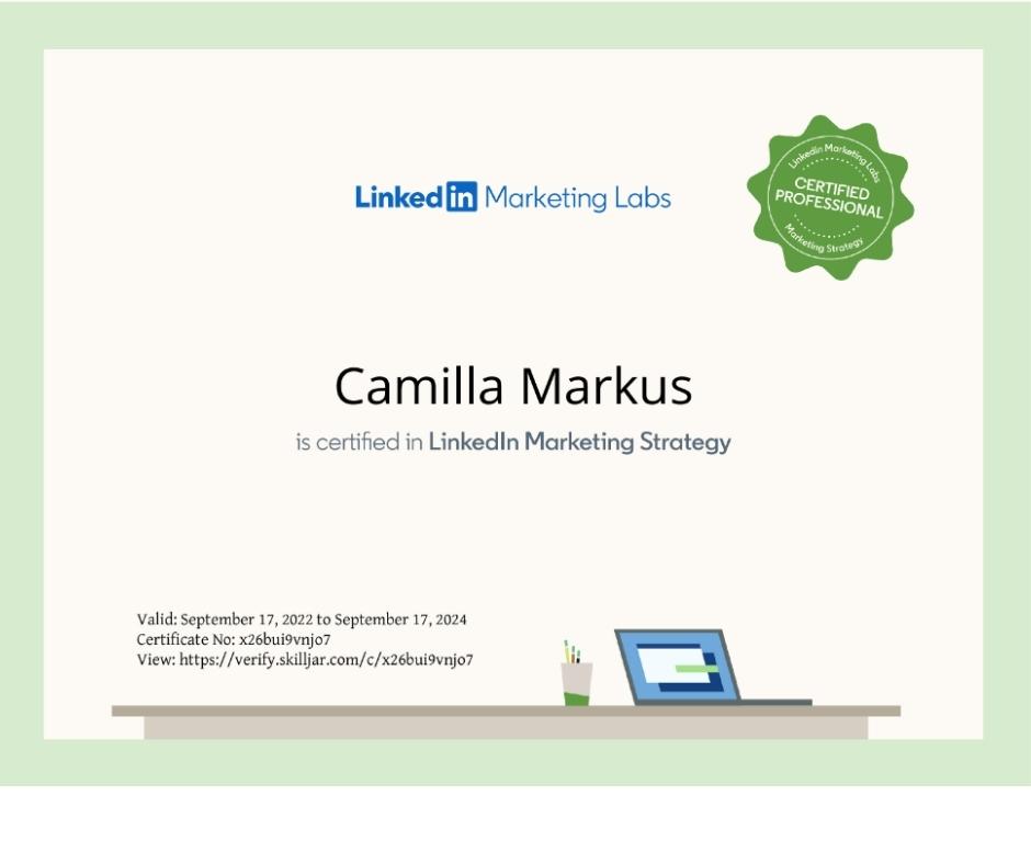 LinkedIn Ads Marketing strategy